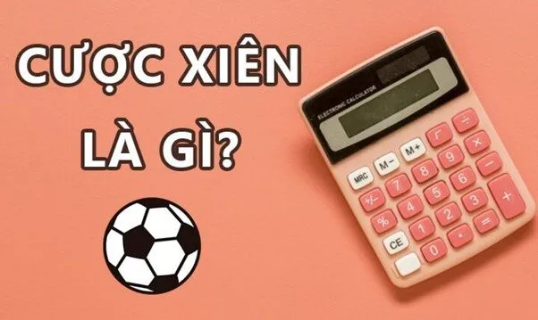 cuoc xien 8xbet55 2 Một số mẹo để tăng tỷ lệ thắng khi cược xiên
